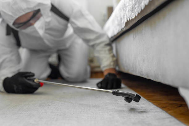 Professional Bed Bug Control technician working in Falls Church, VA