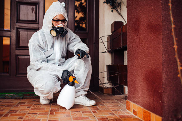 Reliable Bed Bug Control contractor in Falls Church, VA by Nex Pest Control