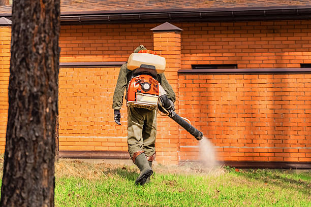 Trusted Cockroach Control service in Falls Church, VA - Nex Pest Control